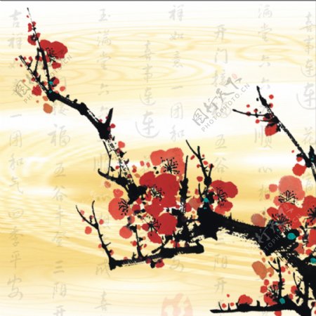 中国风美艳花开枝头装饰画