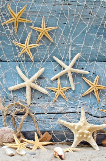 木板前的海星和渔网图片
