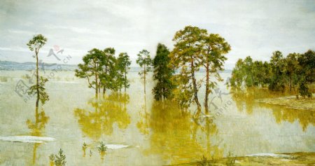 湖水里的大树图片
