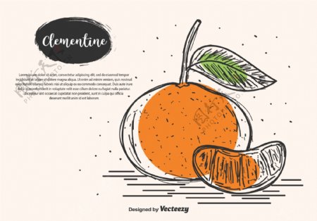 手绘水果橙子插画