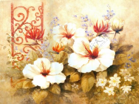 美丽的油画花卉图片