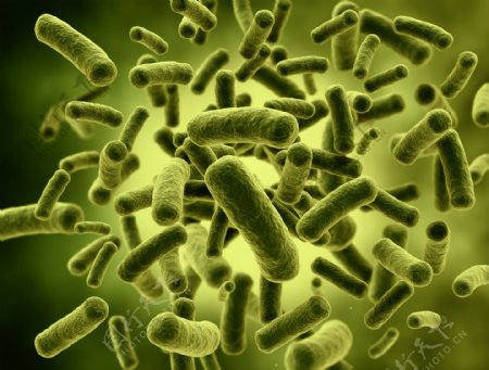 细菌病毒图片