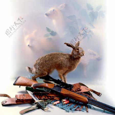 狩猎的工具与动物图片
