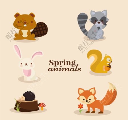 6款卡通春季小动物矢量素材