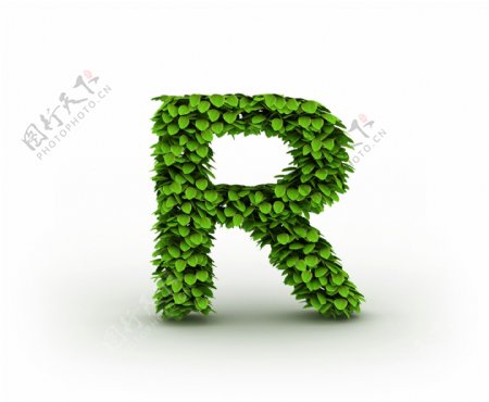 绿叶组成的字母r