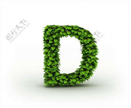 绿叶立体字母D