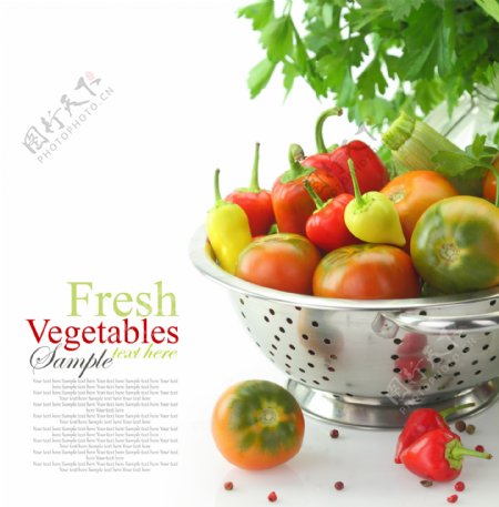 新鲜蔬菜背景素材图片
