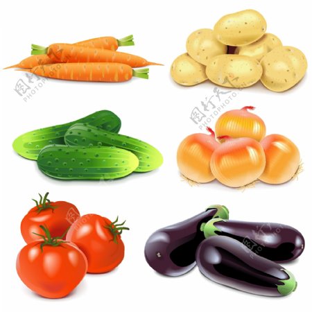 蔬菜水果矢量素材设计
