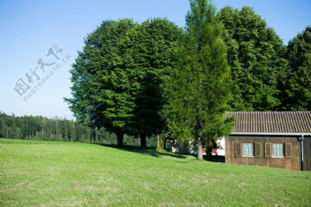 草原房子与树木图片