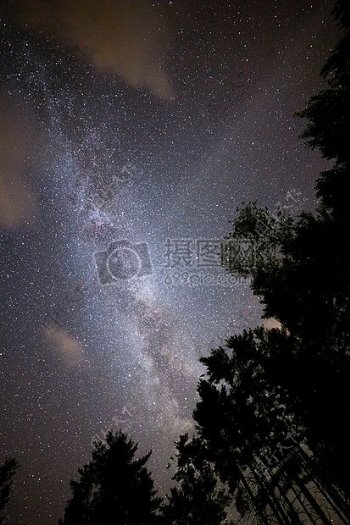 天空晚上树木乳白色方式恒星