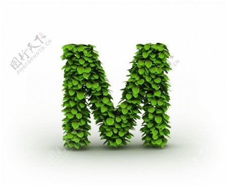 绿叶组成的字母M图片