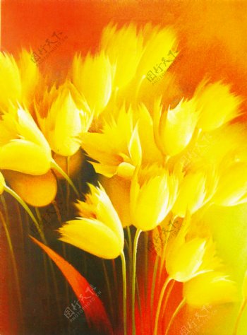 金黄的花朵油画图片