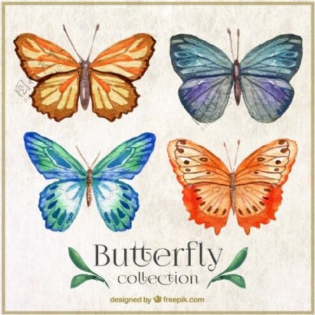 水彩butterflyes抽象装饰