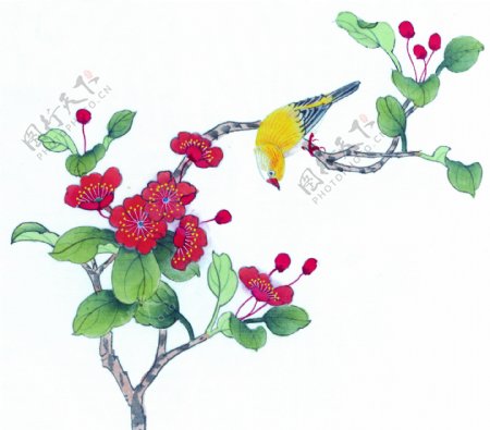 水墨花卉鸟类图片