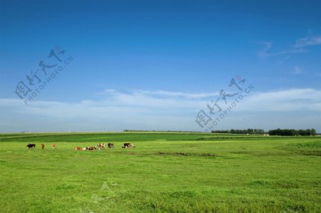 平原地区自然景观图片