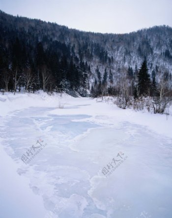 山林下冰冻的小溪图片