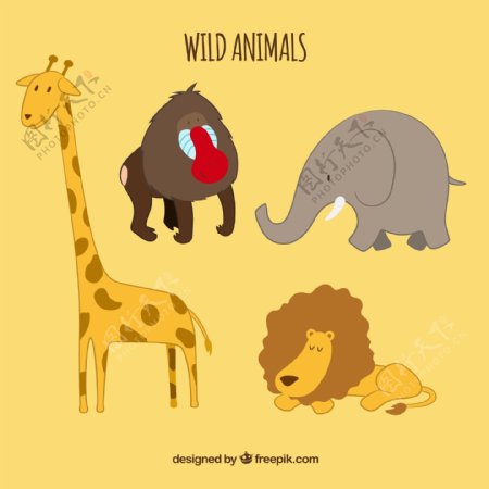 野生动物卡通收藏