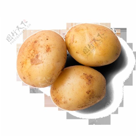 土豆高清素材