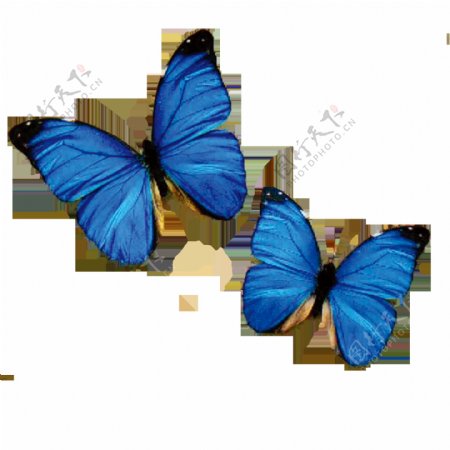 唯美印象蝴蝶绘画素材