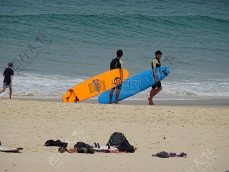 沙滩冲浪澳大利亚