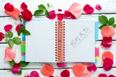 木板上的笔记本与花瓣图片