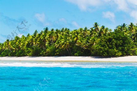 美丽椰树小岛风景图片