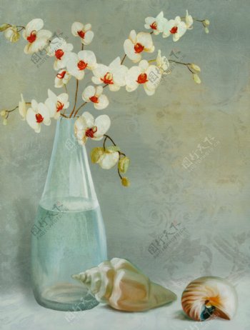 花瓶贝壳油画图片