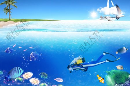 海底世界潜水