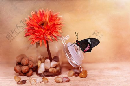 花卉装饰画花瓶上的蝴蝶