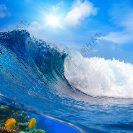 巨浪浪花与鱼图片