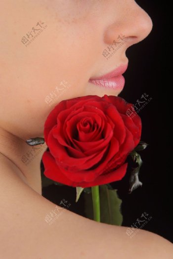 拿玫瑰花的性感美女图片