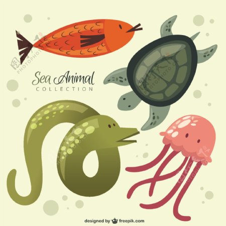 可爱的海洋动物收藏