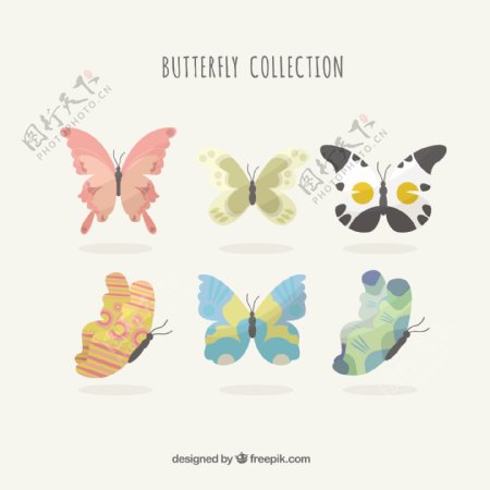 可爱的蝴蝶在柔和的色调