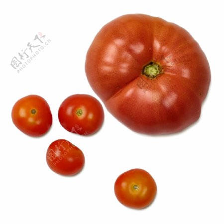 西红柿高清唯美素材