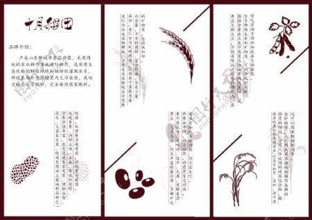 三折页设计谷物折页十月稻田