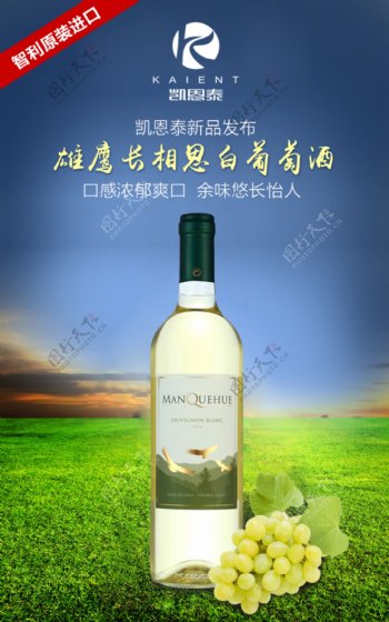 白葡萄酒海报