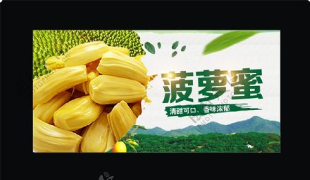 菠萝蜜宣传