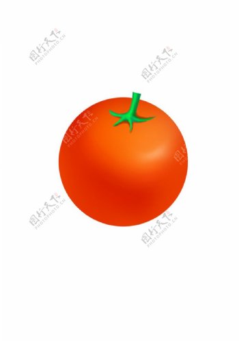 tomato西红柿