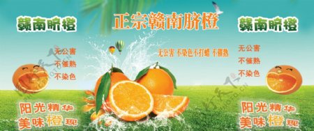 赣南脐橙广告宣传水果