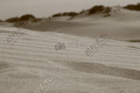 沙漠中的沙