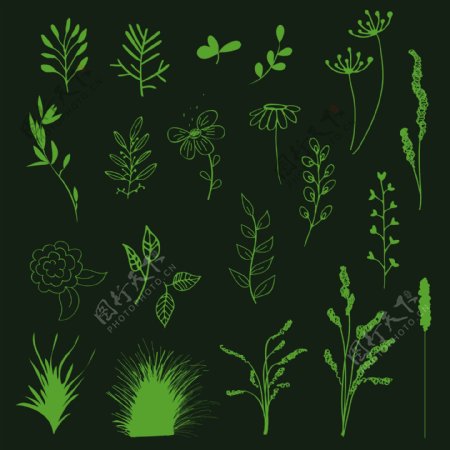 绿色植物鲜花背景图