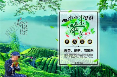 清明节茶叶海报