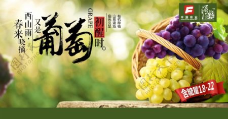 绿色清新新鲜葡萄宣传海报