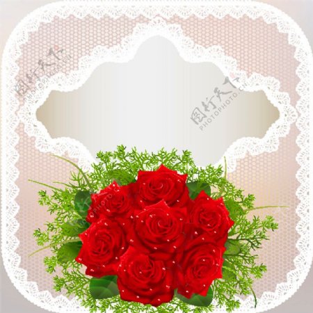 蕾丝花边与红玫瑰图片