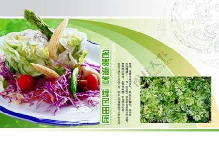 绿色菜谱图片