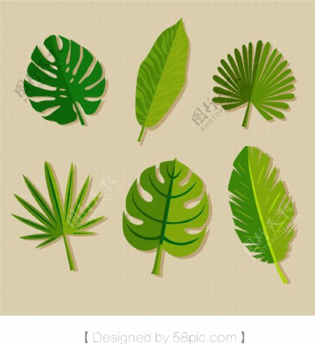 热带植物绿叶针叶素材元素