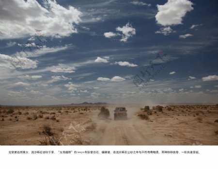 沙漠上的吉普车图片