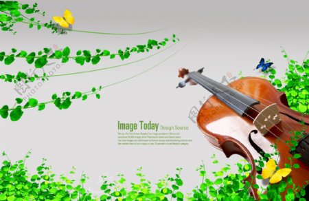 小提琴与绿色藤蔓植物PSD分层素材