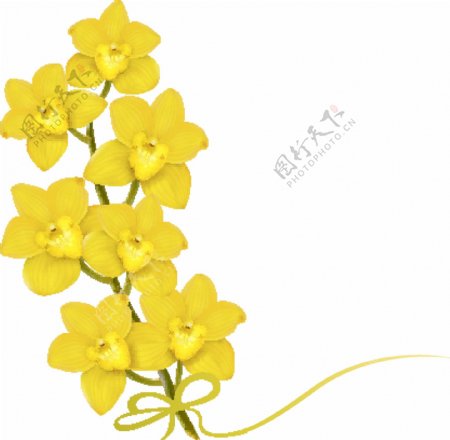 黄色单支矢量花