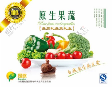 蔬菜水果包装设计PSD素材